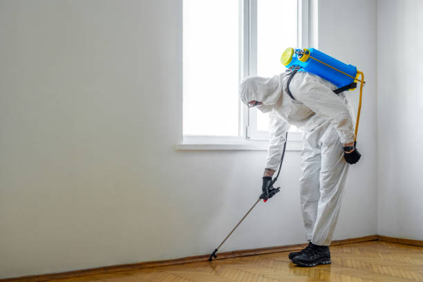 Best Termite Inspection and Treatment  in South Lancaster, MA